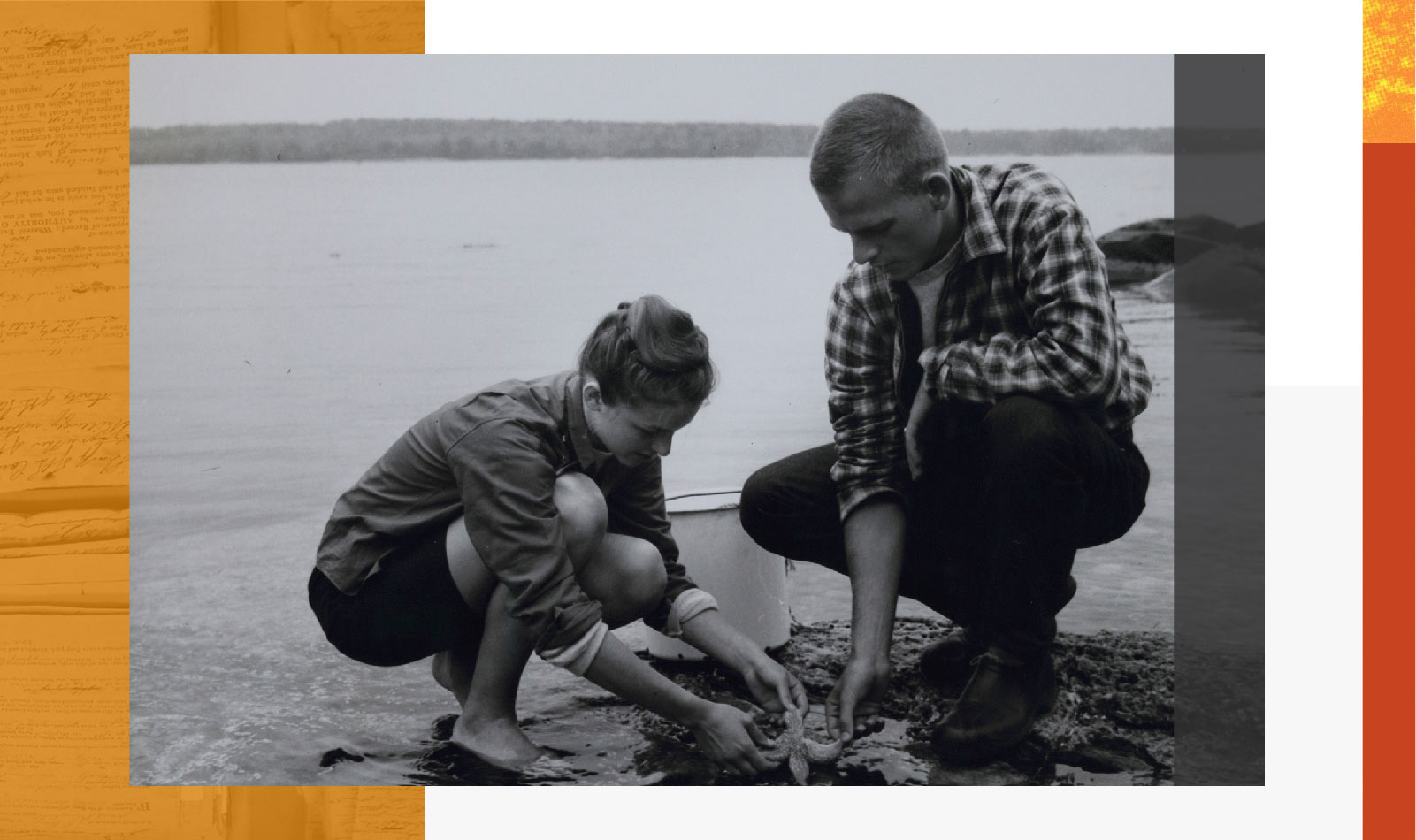 Hidden History: Hog Island